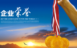 榮譽(yù)資質(zhì)